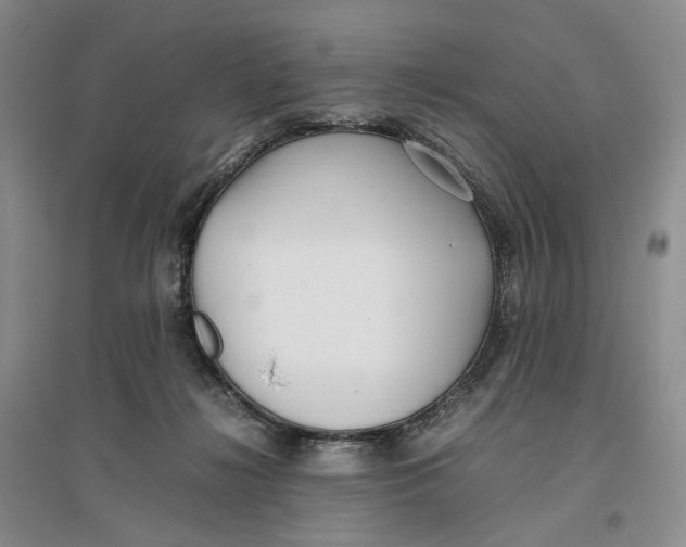 X0000096670268200802261459