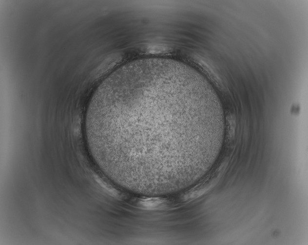 X0000096670269200802261459