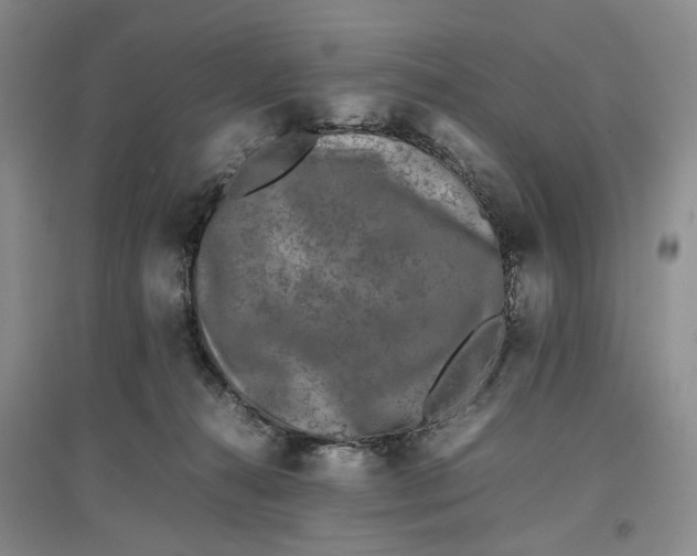 X0000096670272200802261459