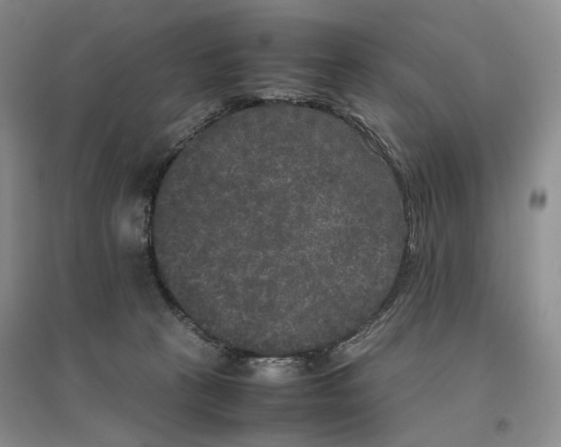 X0000096670273200802261459