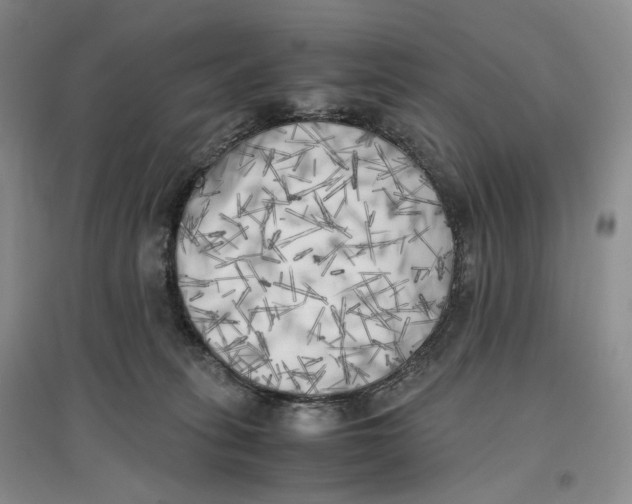 X0000096670275200802261459
