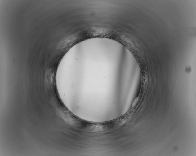 X0000096670276200802261459