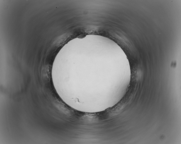 X0000096670280200802261459