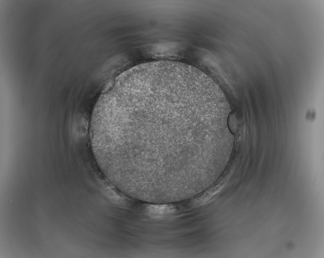 X0000096670281200802261459