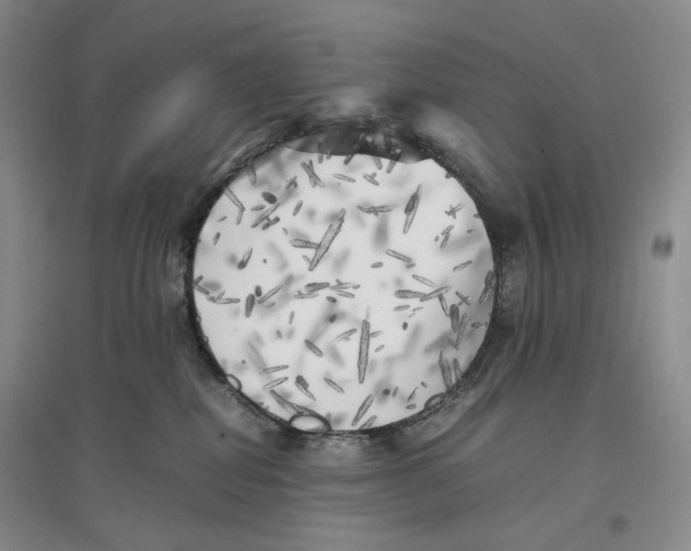 X0000096670282200802261459