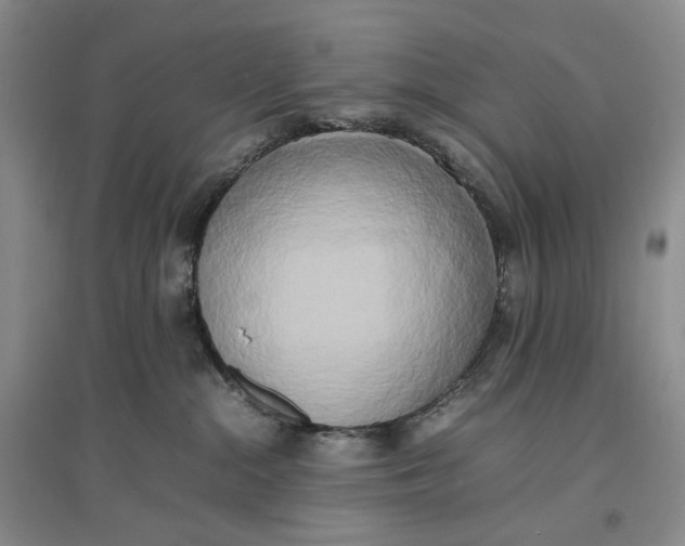 X0000096670284200802261459