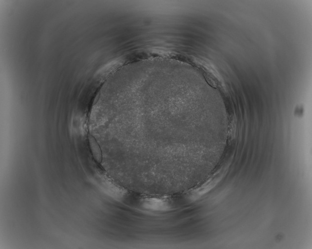 X0000096670285200802261459