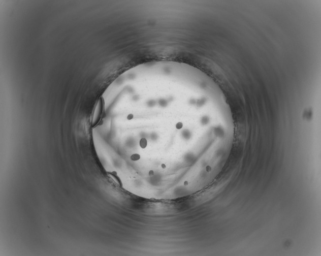 X0000096670286200802261459