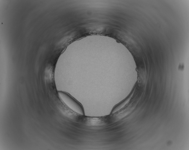 X0000096670287200802261500