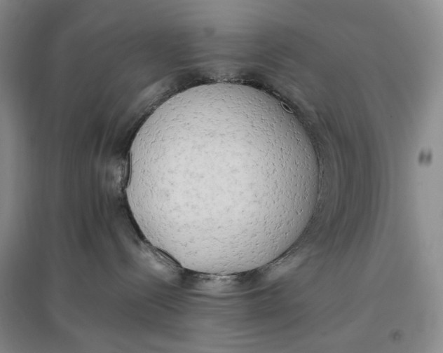 X0000096670288200802261500