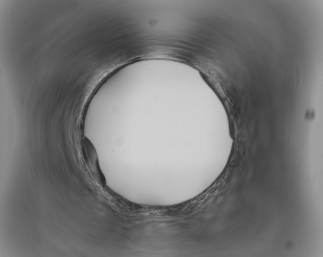 X0000096670289200802261459