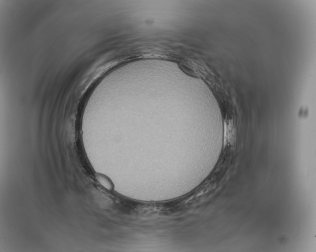 X0000096670291200802261459