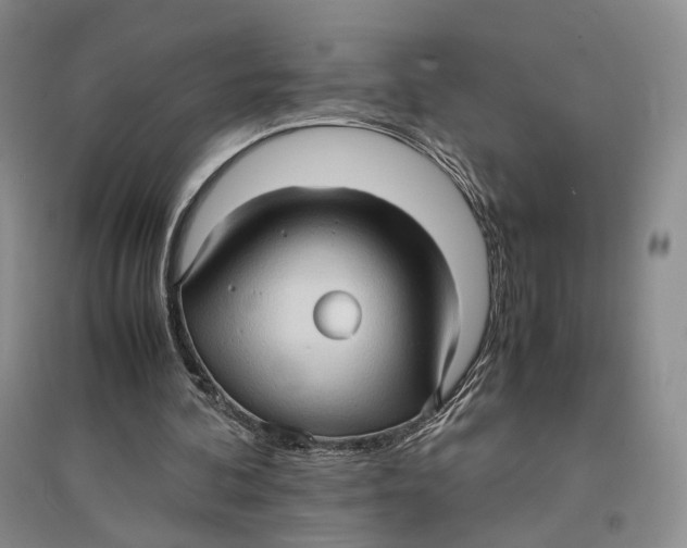 X0000096670292200802261459
