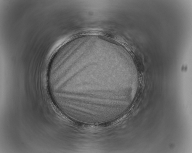 X0000096670293200802261459