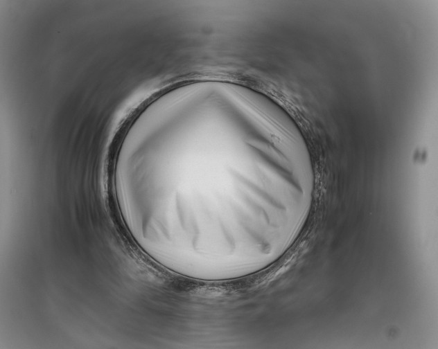 X0000096670294200802261459