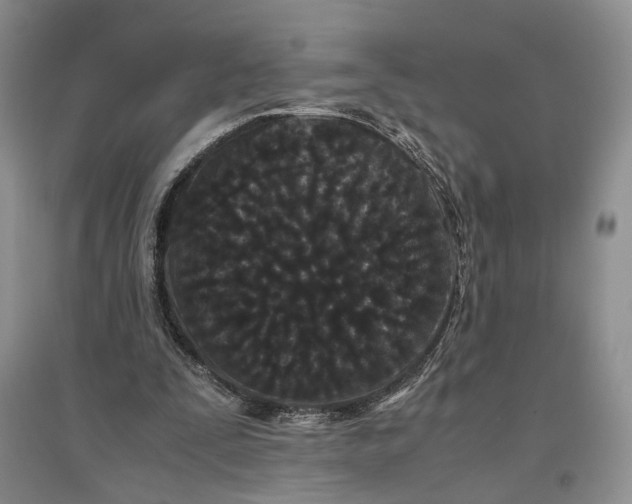 X0000096670295200802261459