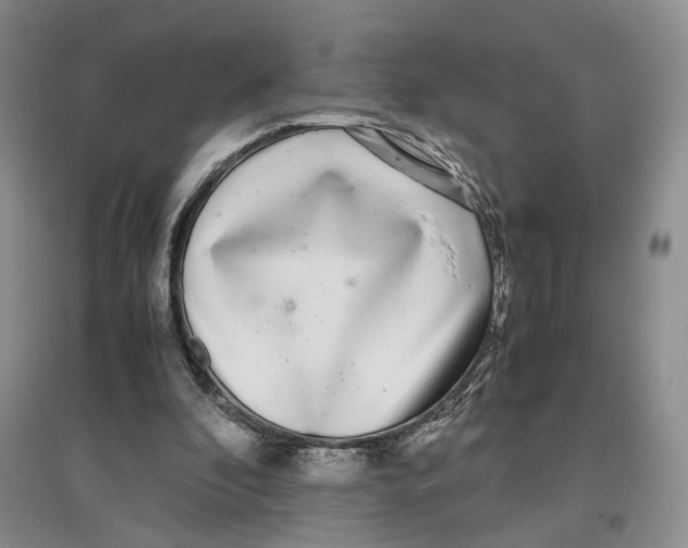 X0000096670296200802261459