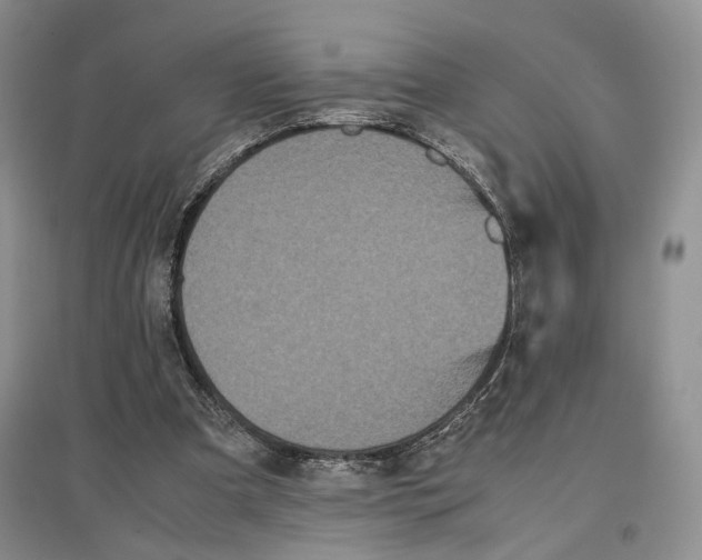 X0000096670297200802261459