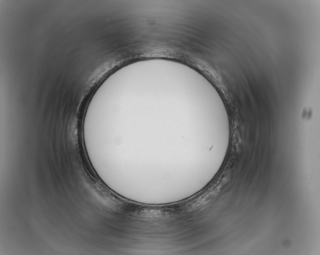 X0000096670298200802261459