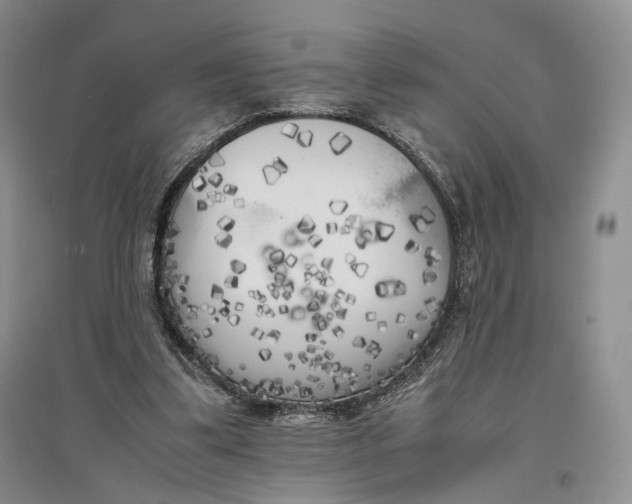 X0000096670299200802261459