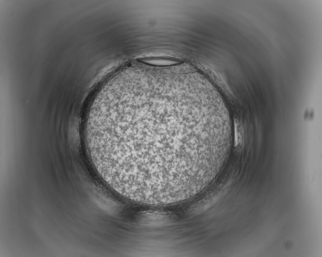 X0000096670300200802261459