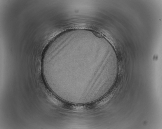 X0000096670301200802261459