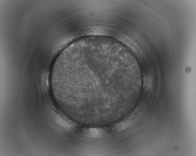 X0000096670302200802261459