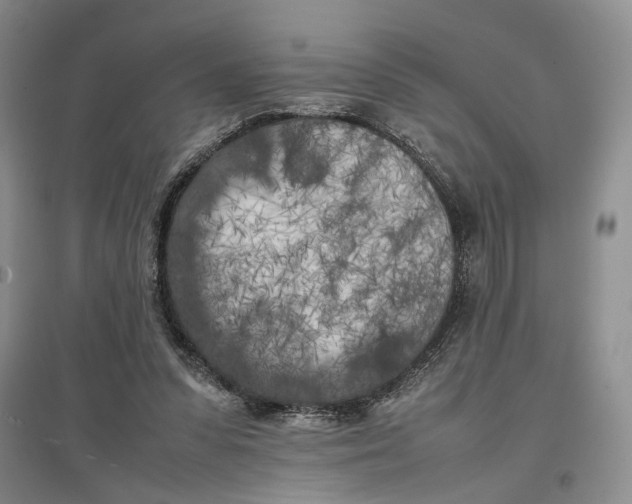 X0000096670303200802261459