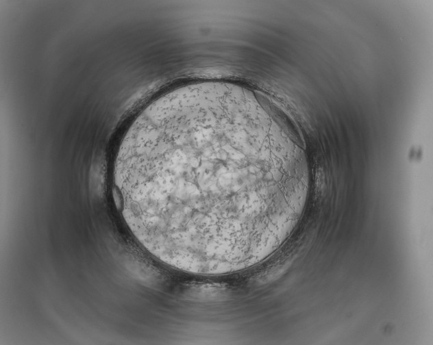 X0000096670304200802261459