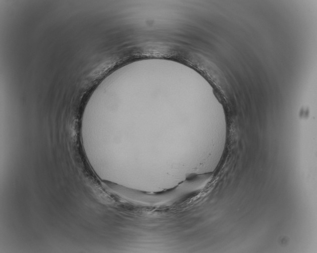 X0000096670305200802261459