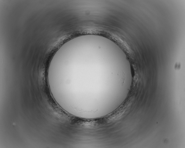 X0000096670306200802261459