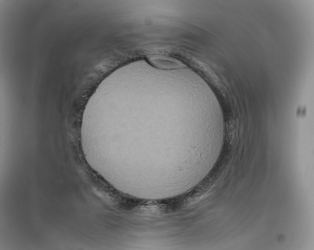 X0000096670307200802261459