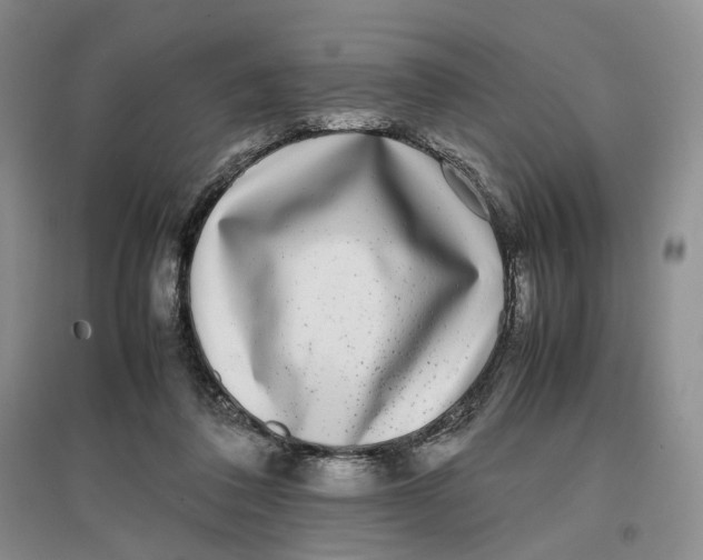 X0000096670308200802261458