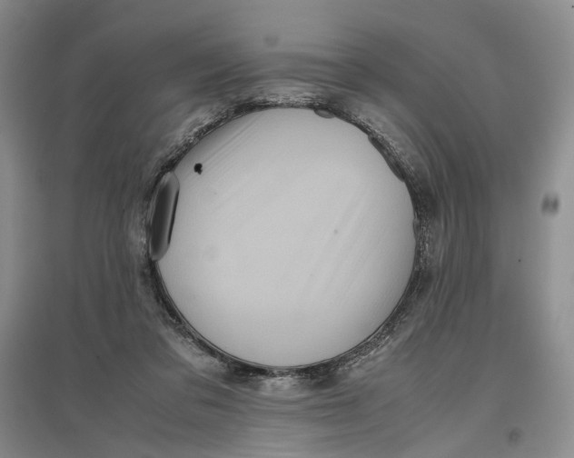 X0000096670309200802261458