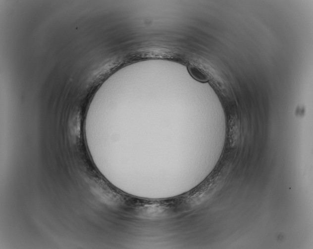 X0000096670310200802261458