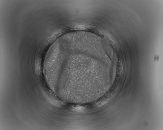 X0000096670312200802261458