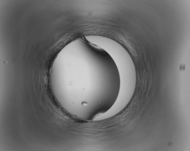 X0000096670313200802261458