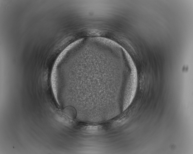 X0000096670314200802261458