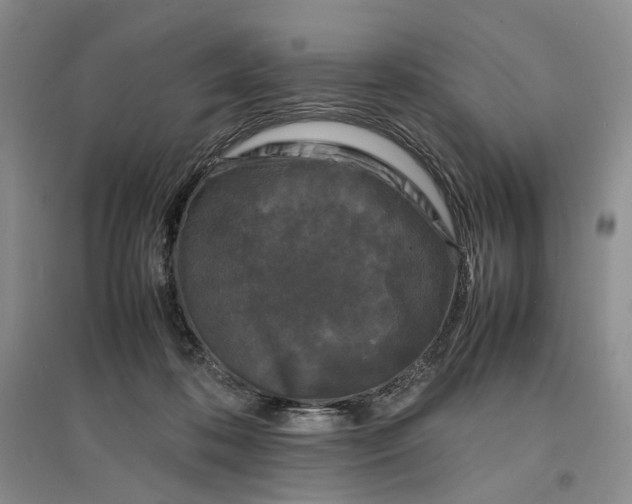 X0000096670316200802261458