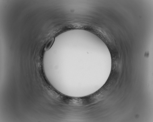 X0000096670317200802261458