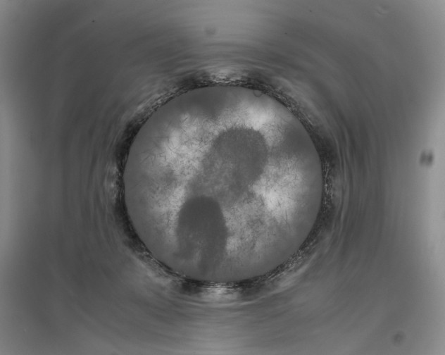X0000096670319200802261458