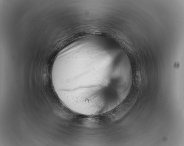 X0000096670320200802261458