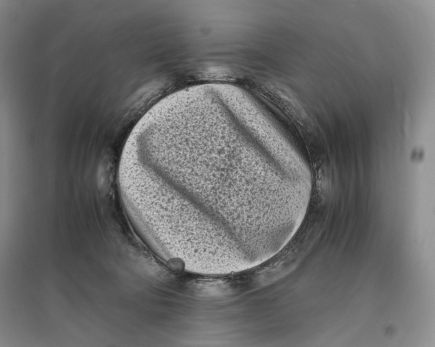 X0000096670322200802261458