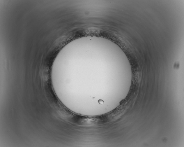 X0000096670323200802261458