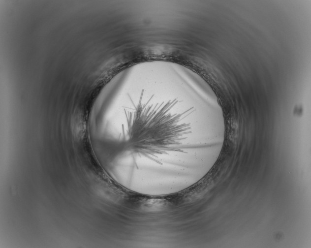 X0000096670324200802261458