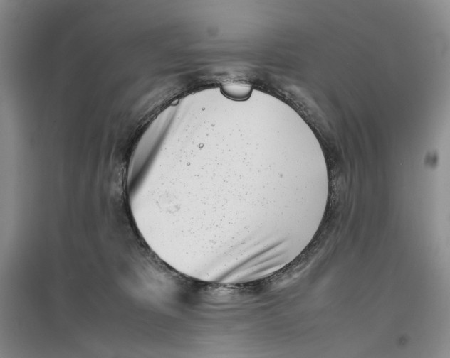 X0000096670325200802261458