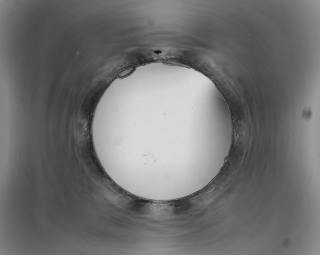 X0000096670327200802261458