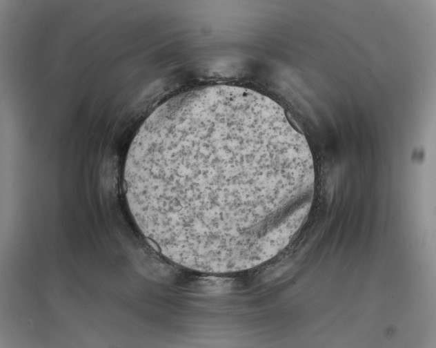 X0000096670328200802261458