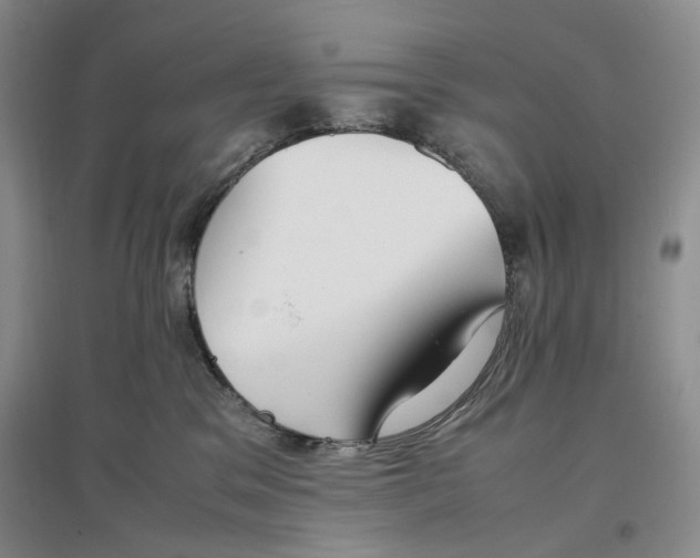 X0000096670329200802261458