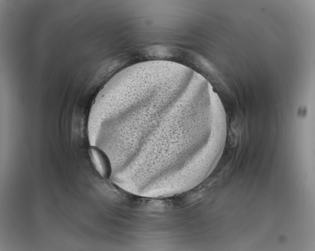 X0000096670330200802261458